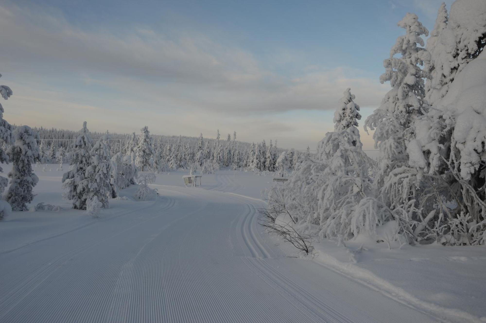 12 - Fulufjellets Nasjonalparker - Natur-, Dyre- Og Fugleopplevelser Ljørdal Buitenkant foto