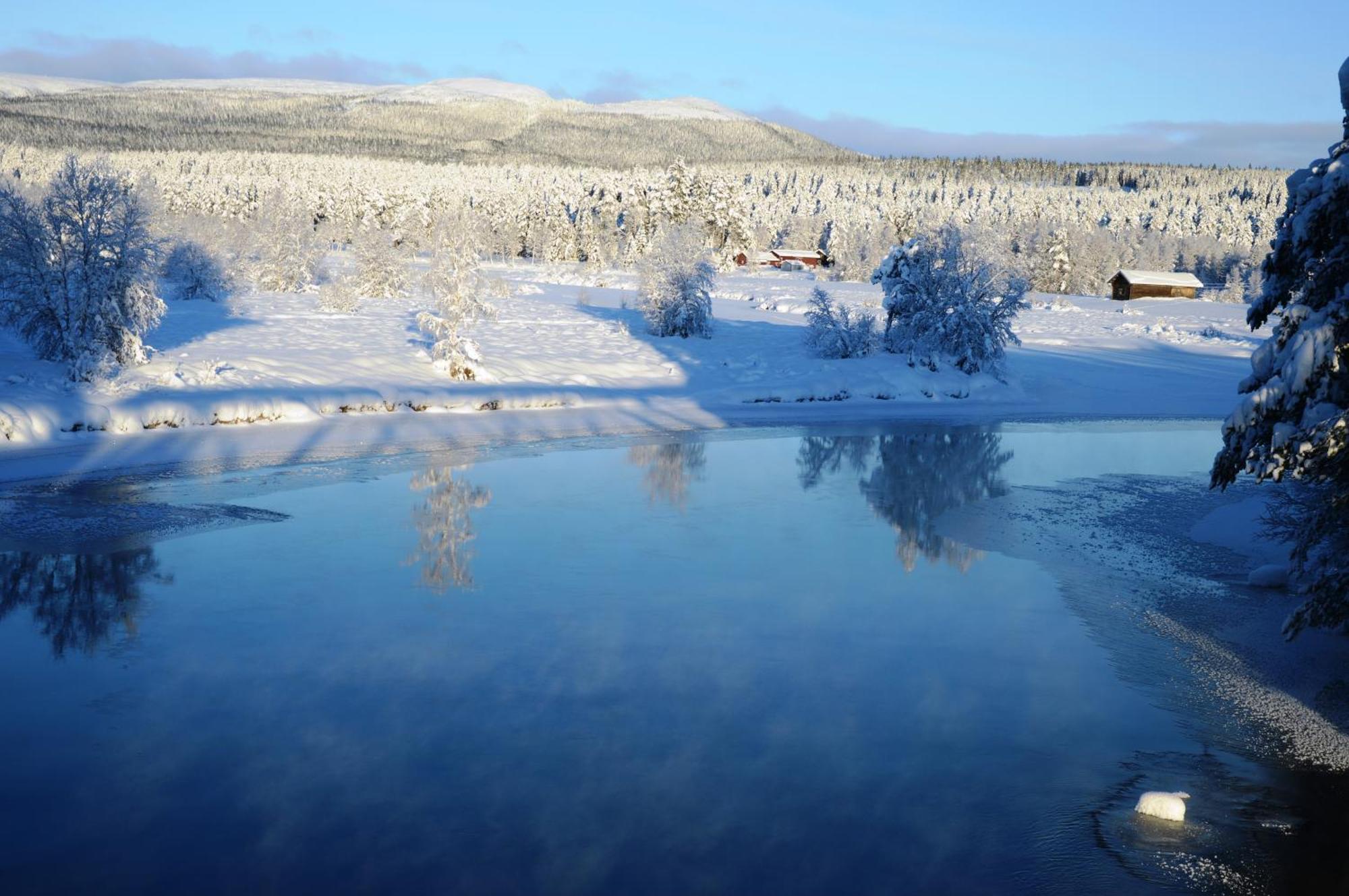 12 - Fulufjellets Nasjonalparker - Natur-, Dyre- Og Fugleopplevelser Ljørdal Buitenkant foto