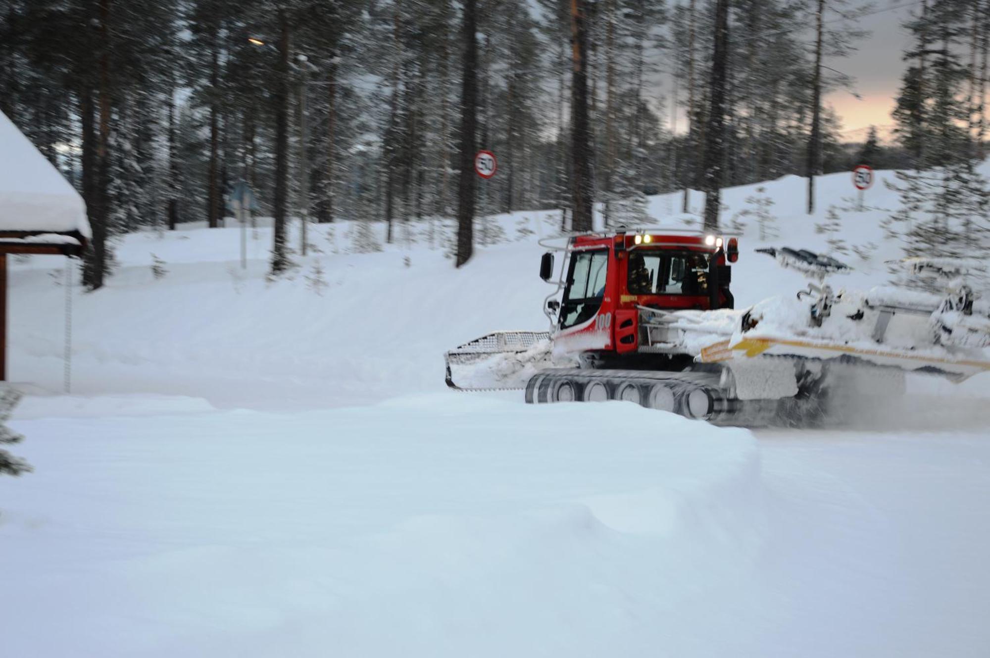 12 - Fulufjellets Nasjonalparker - Natur-, Dyre- Og Fugleopplevelser Ljørdal Buitenkant foto