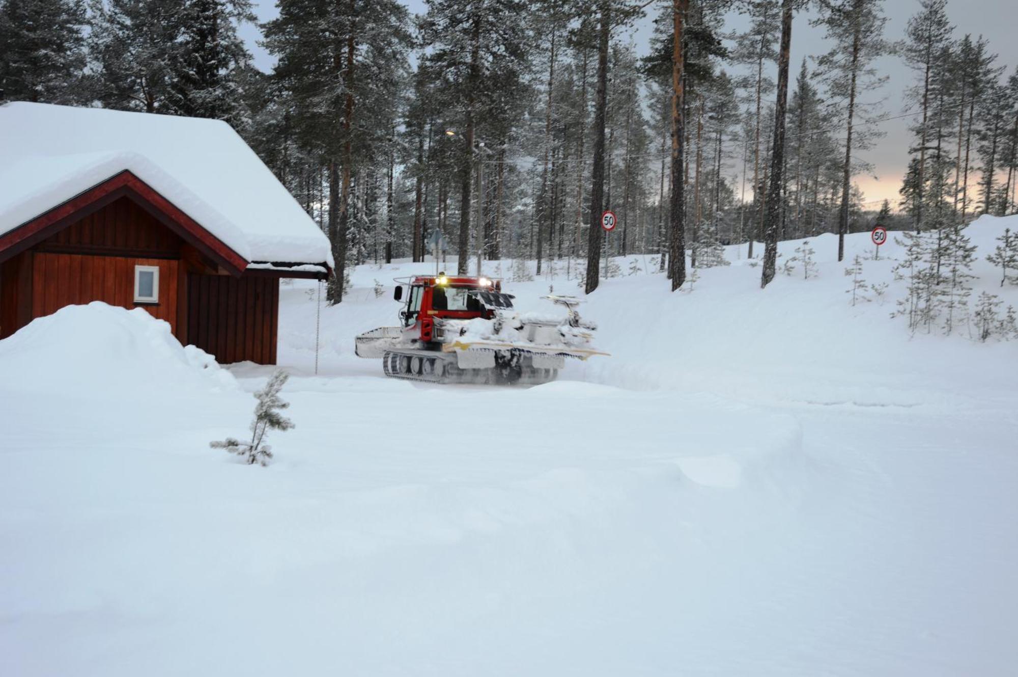 12 - Fulufjellets Nasjonalparker - Natur-, Dyre- Og Fugleopplevelser Ljørdal Buitenkant foto