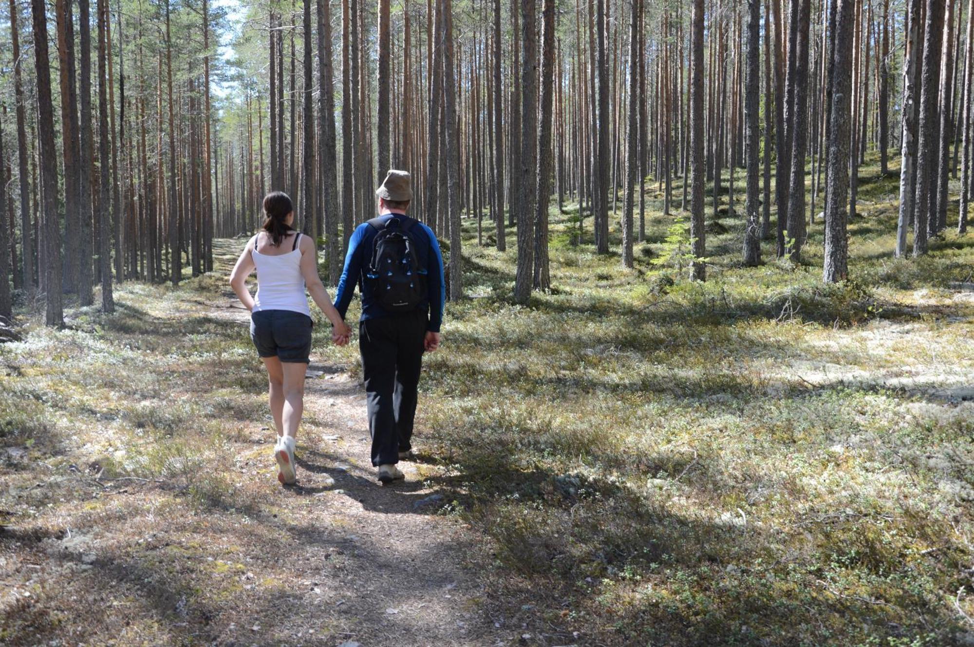 12 - Fulufjellets Nasjonalparker - Natur-, Dyre- Og Fugleopplevelser Ljørdal Buitenkant foto