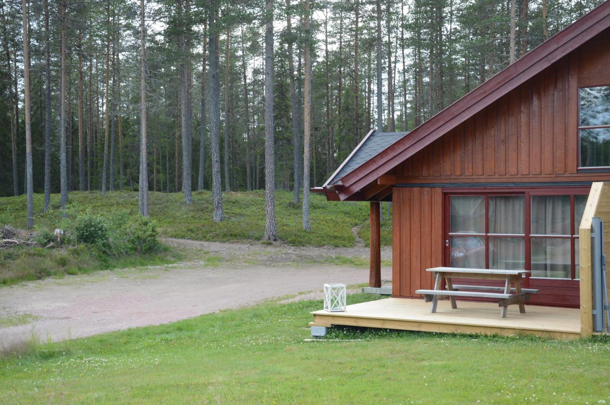 12 - Fulufjellets Nasjonalparker - Natur-, Dyre- Og Fugleopplevelser Ljørdal Buitenkant foto