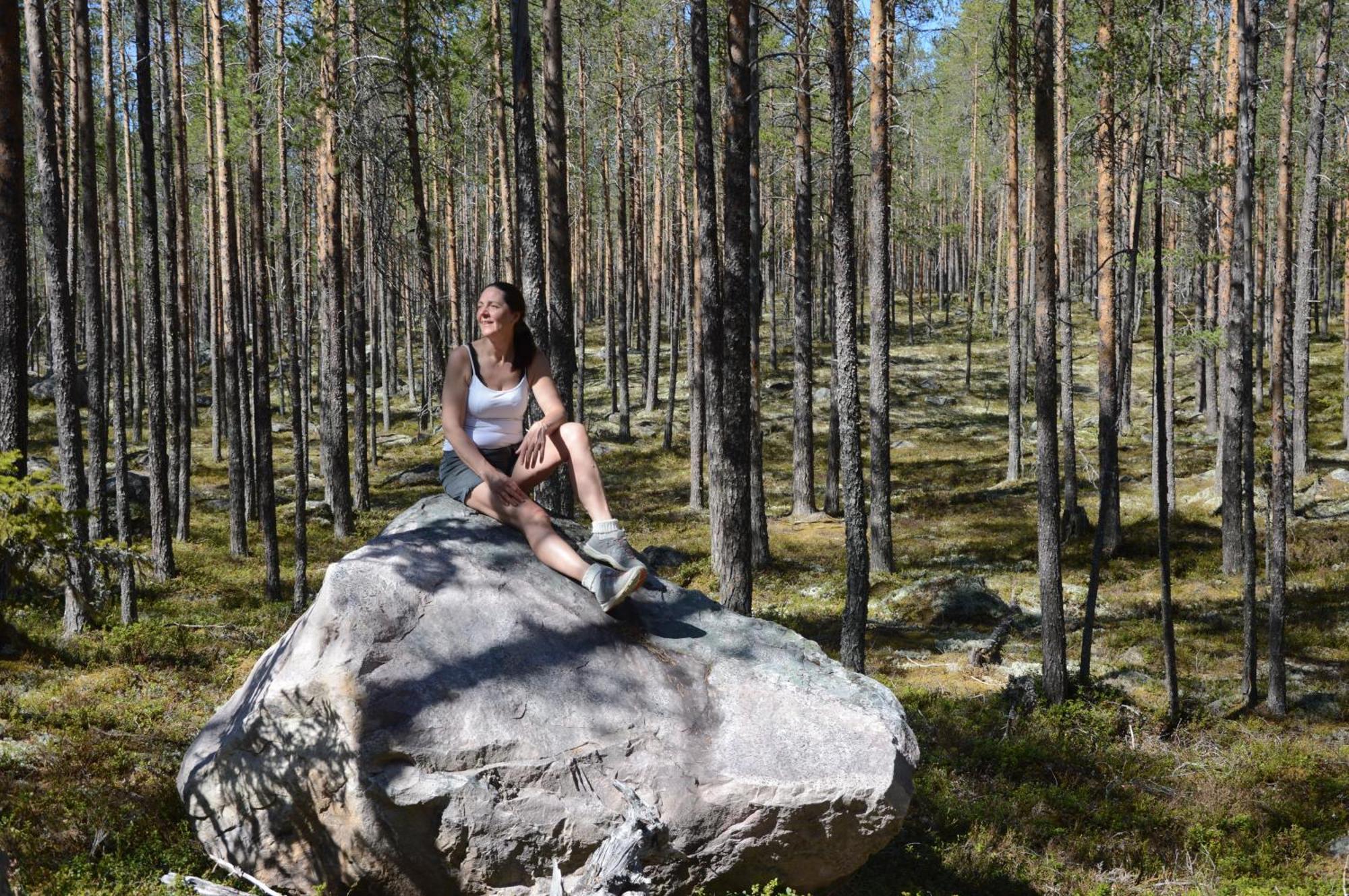 12 - Fulufjellets Nasjonalparker - Natur-, Dyre- Og Fugleopplevelser Ljørdal Buitenkant foto