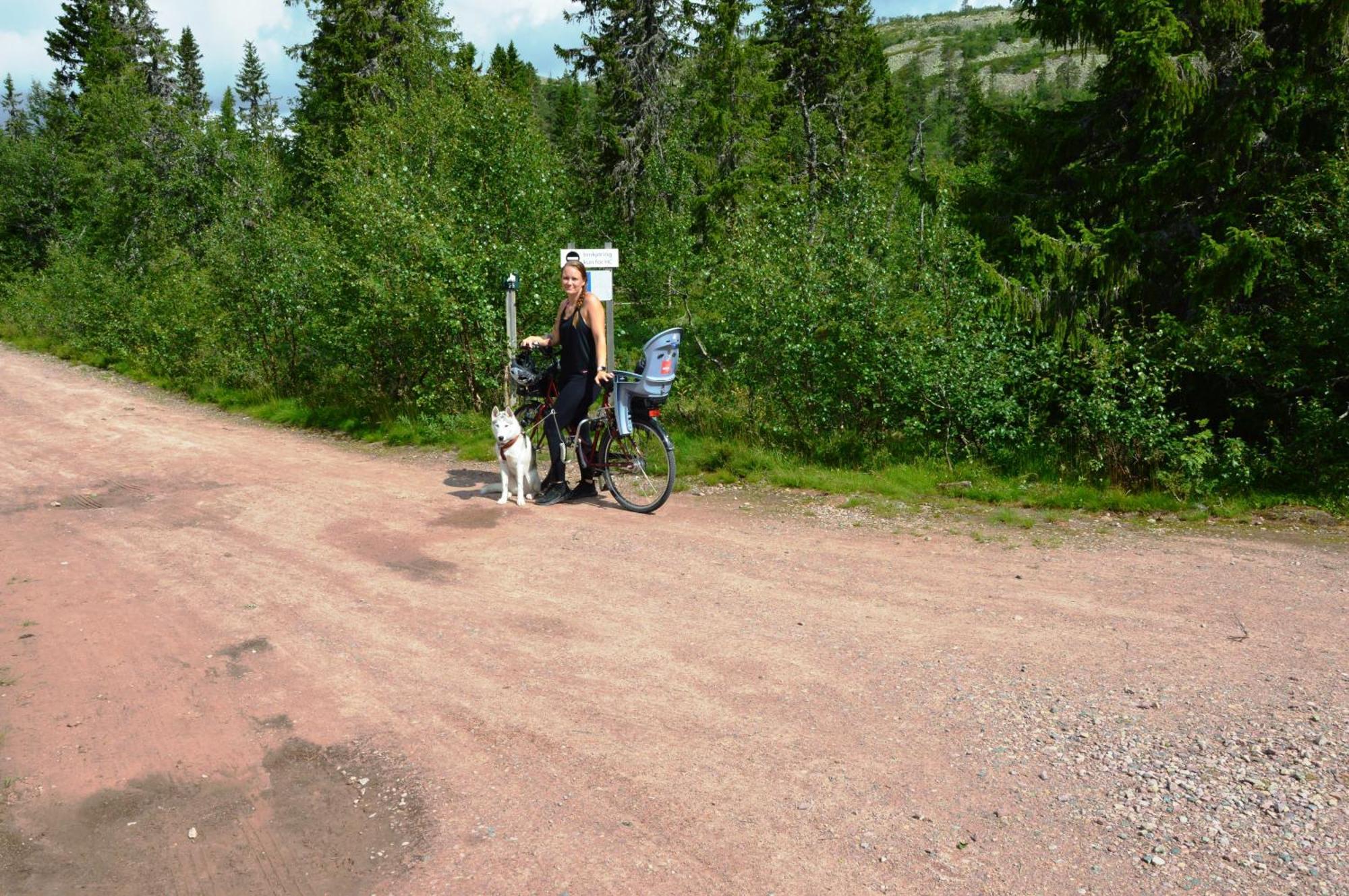 12 - Fulufjellets Nasjonalparker - Natur-, Dyre- Og Fugleopplevelser Ljørdal Buitenkant foto
