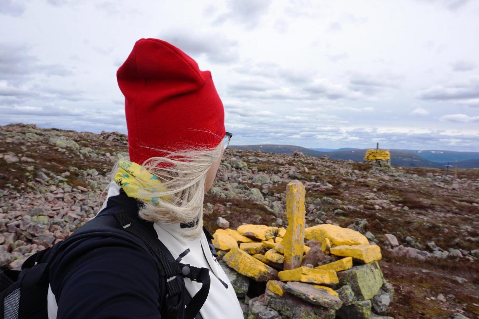 12 - Fulufjellets Nasjonalparker - Natur-, Dyre- Og Fugleopplevelser Ljørdal Buitenkant foto