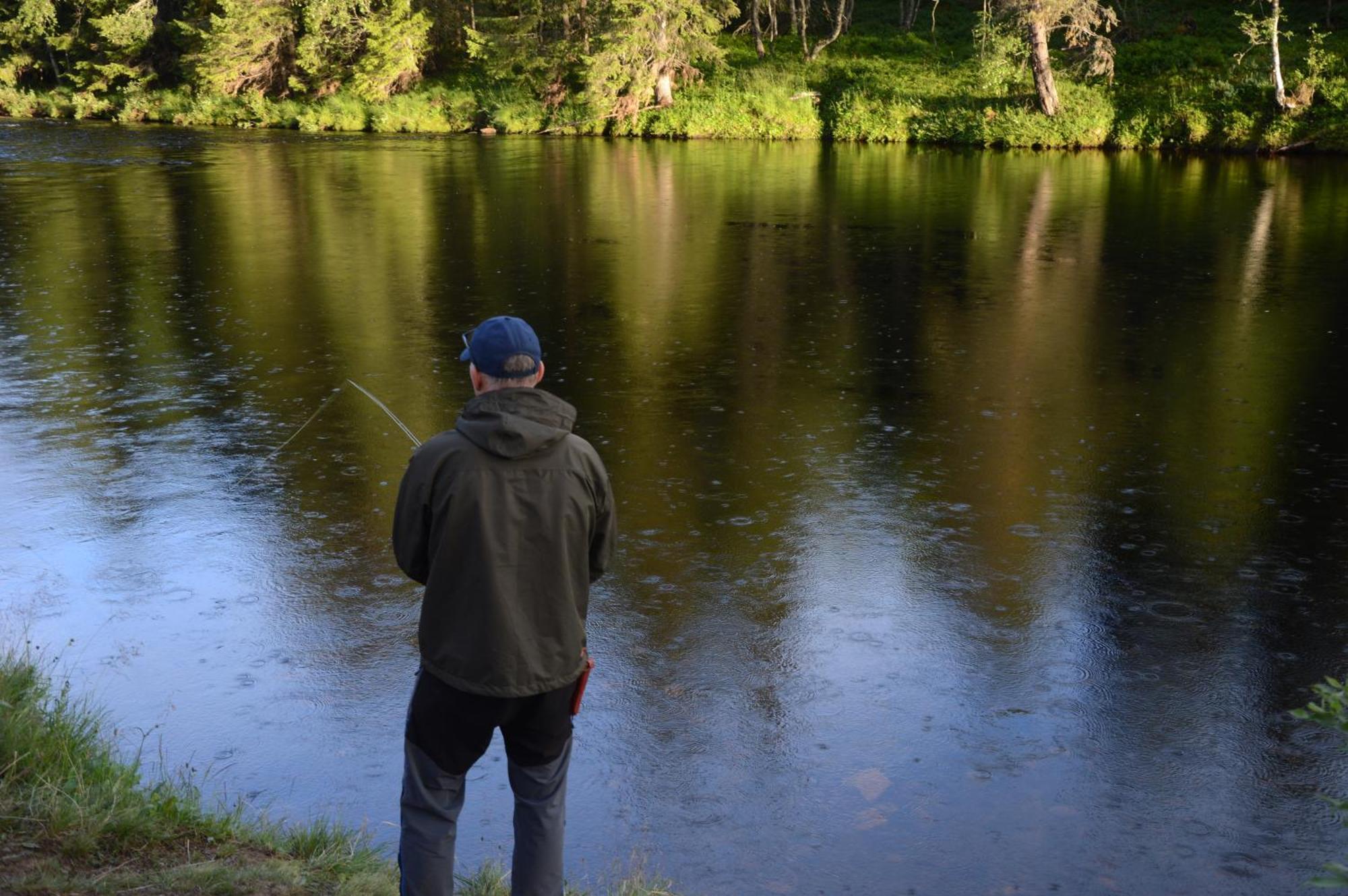 12 - Fulufjellets Nasjonalparker - Natur-, Dyre- Og Fugleopplevelser Ljørdal Buitenkant foto