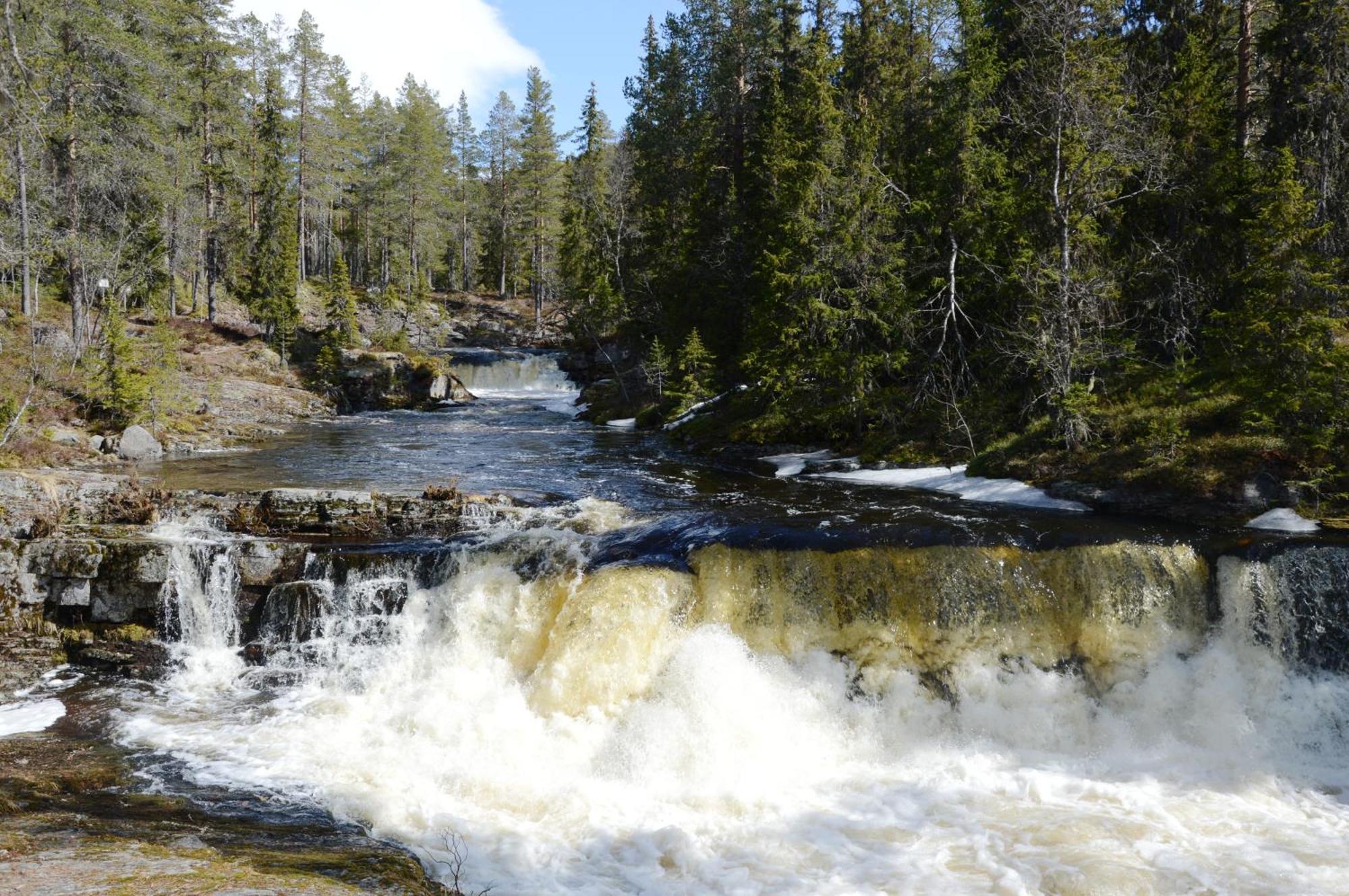 12 - Fulufjellets Nasjonalparker - Natur-, Dyre- Og Fugleopplevelser Ljørdal Buitenkant foto