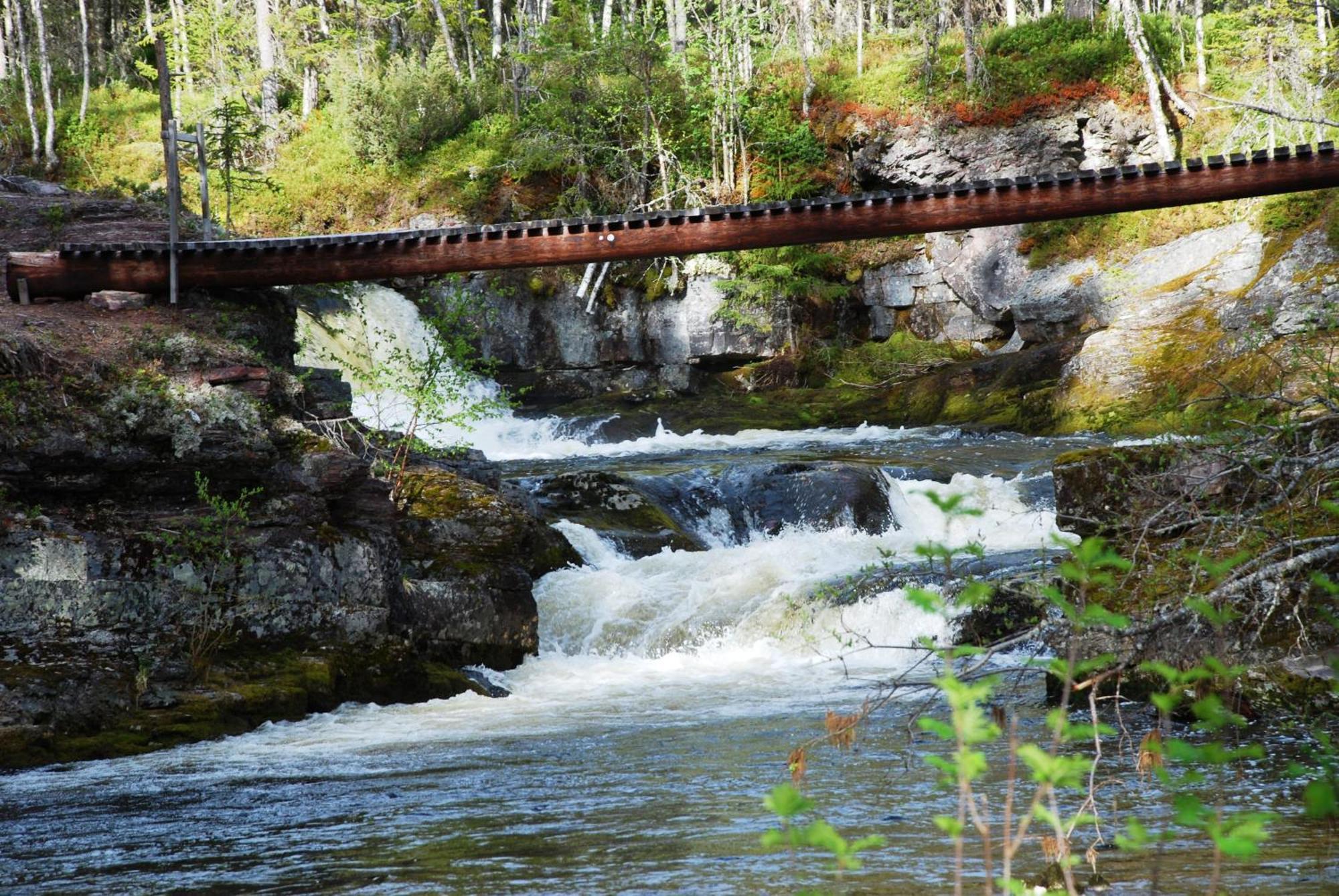 12 - Fulufjellets Nasjonalparker - Natur-, Dyre- Og Fugleopplevelser Ljørdal Buitenkant foto