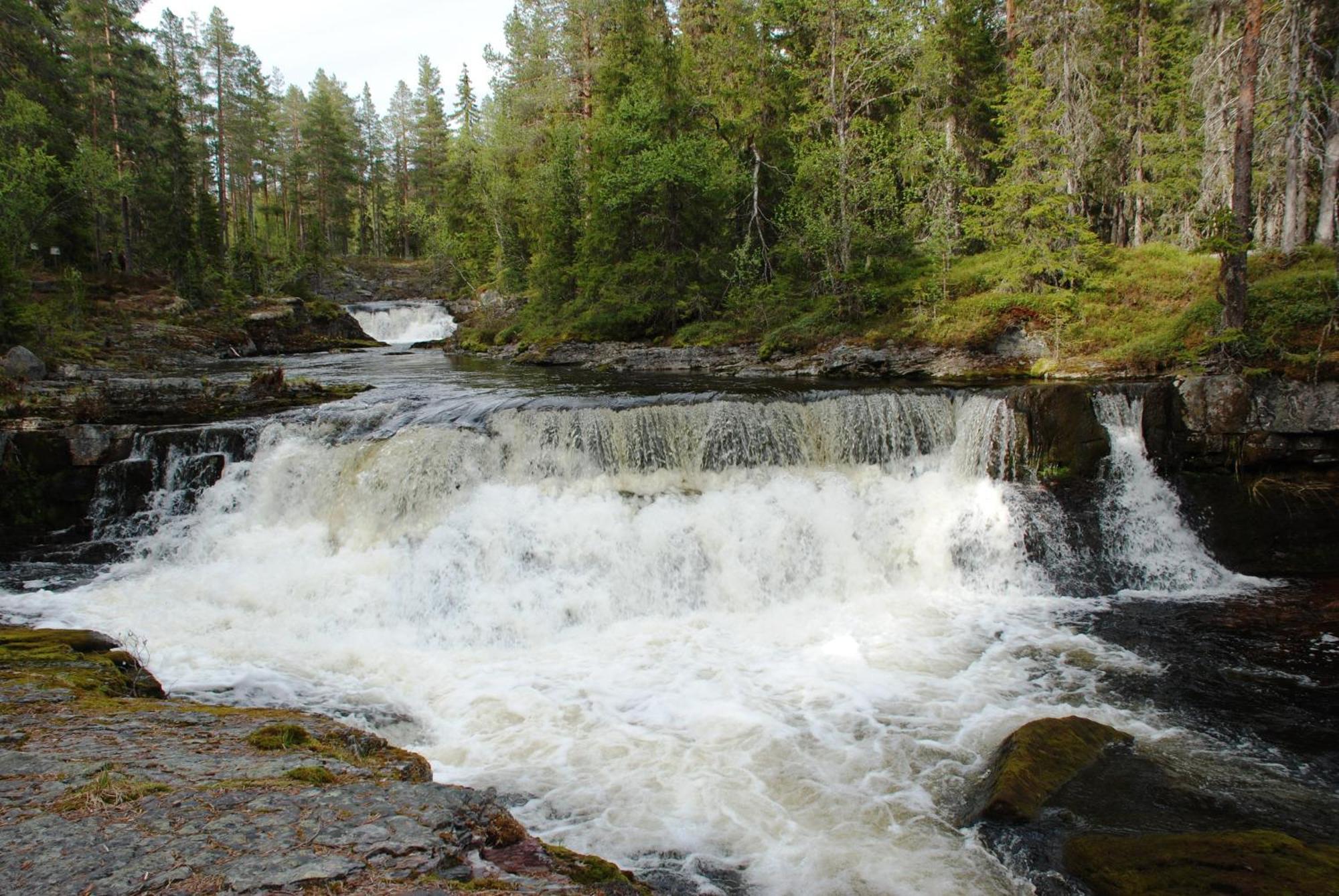 12 - Fulufjellets Nasjonalparker - Natur-, Dyre- Og Fugleopplevelser Ljørdal Buitenkant foto