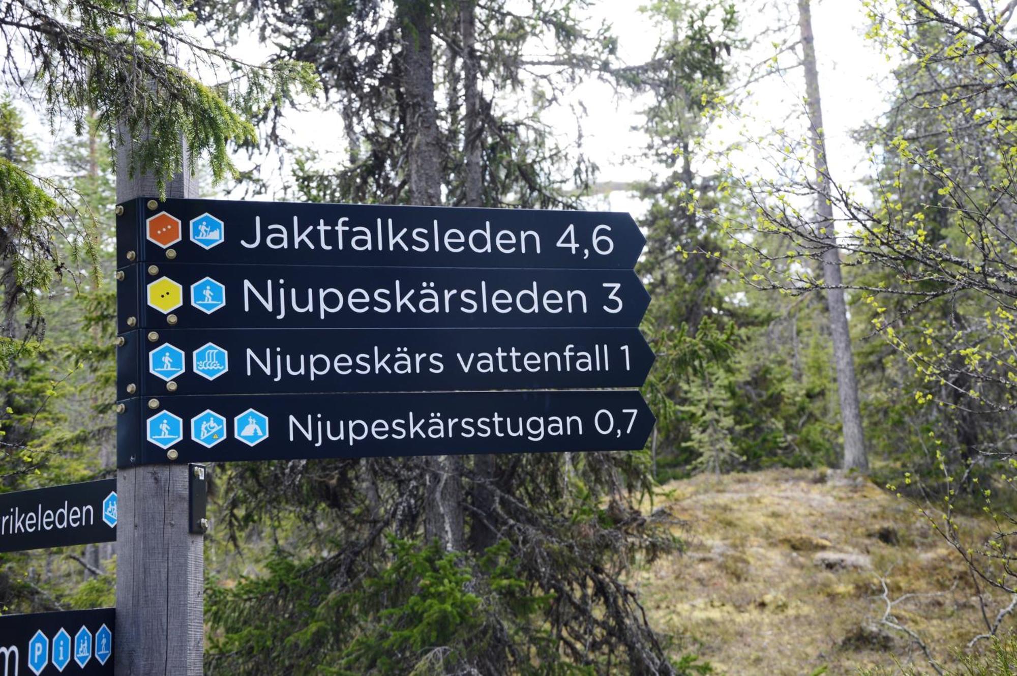 12 - Fulufjellets Nasjonalparker - Natur-, Dyre- Og Fugleopplevelser Ljørdal Buitenkant foto