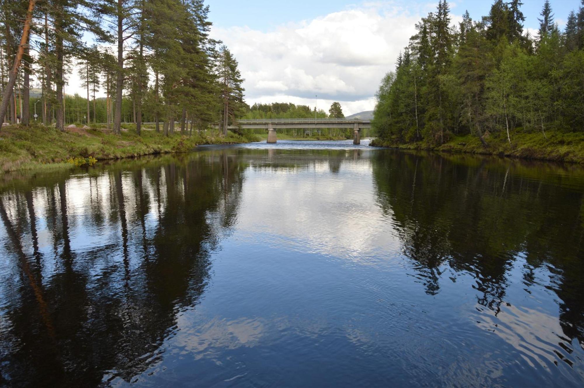 12 - Fulufjellets Nasjonalparker - Natur-, Dyre- Og Fugleopplevelser Ljørdal Buitenkant foto