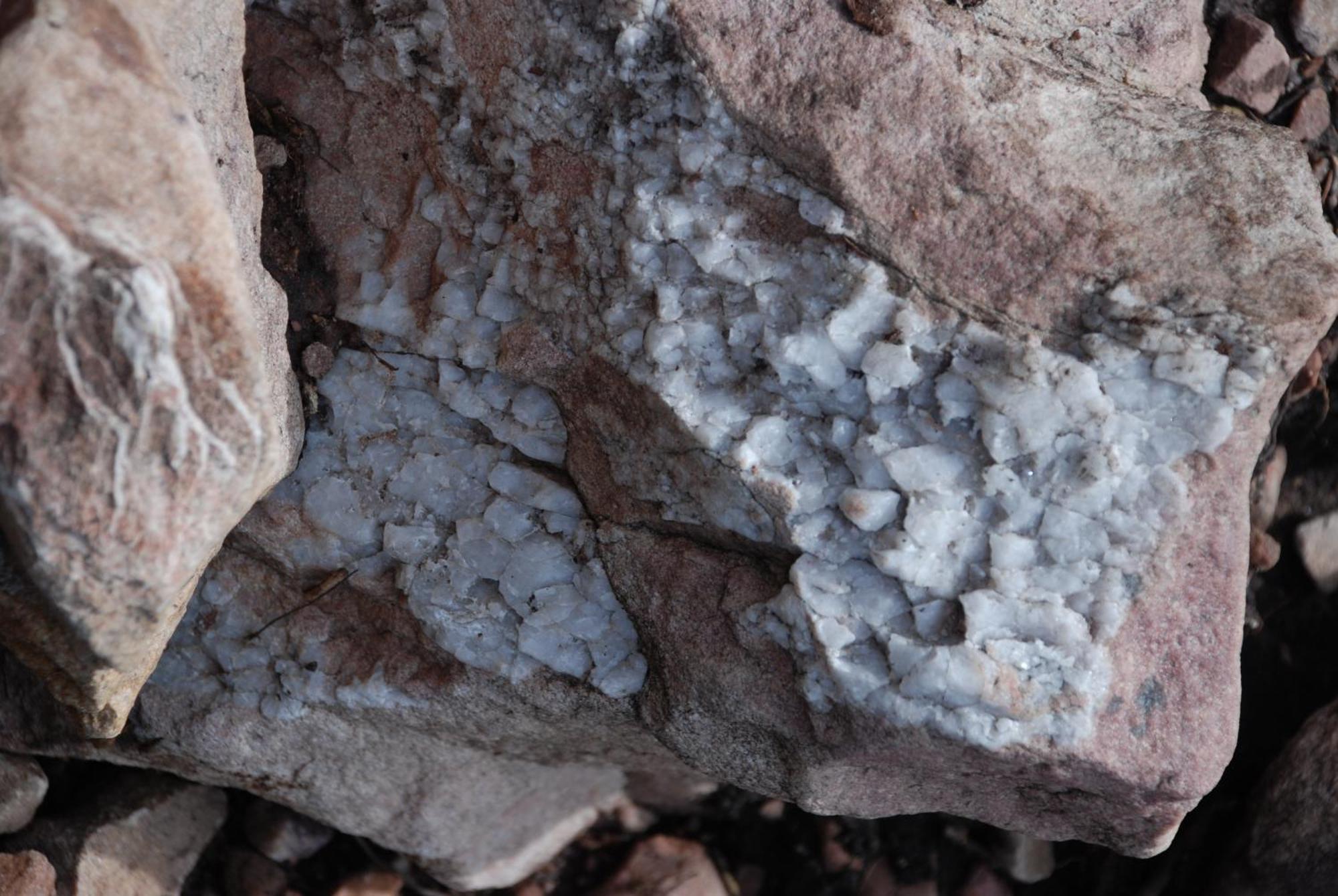12 - Fulufjellets Nasjonalparker - Natur-, Dyre- Og Fugleopplevelser Ljørdal Buitenkant foto
